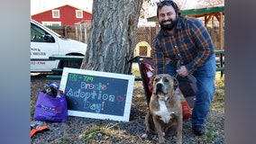‘Drools’ the dog finds loving home after spending 729 days in shelter