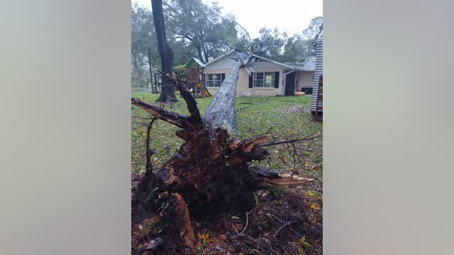 Tree crashes down on Marion County home, just missing child