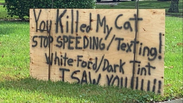 Man posts sign warning drivers: "You Killed My Cat. Stop Speeding!"