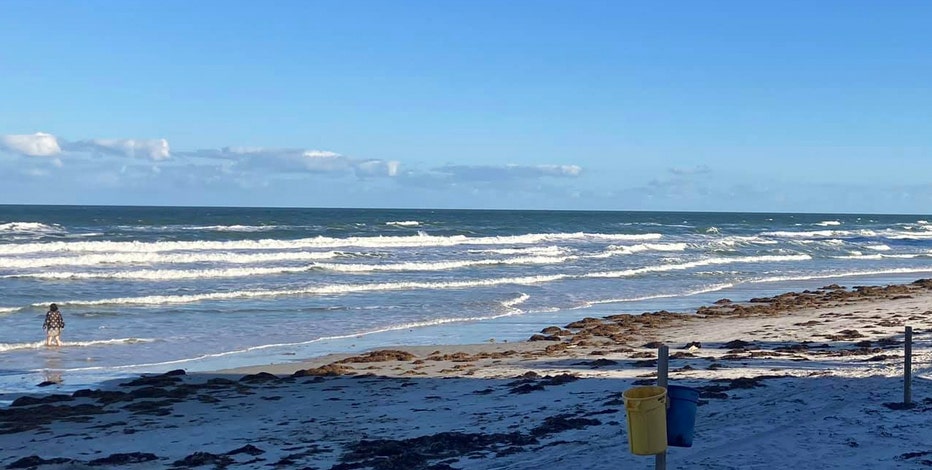 Officials Woman Bitten On Foot By Shark Off Daytona Beach Shores