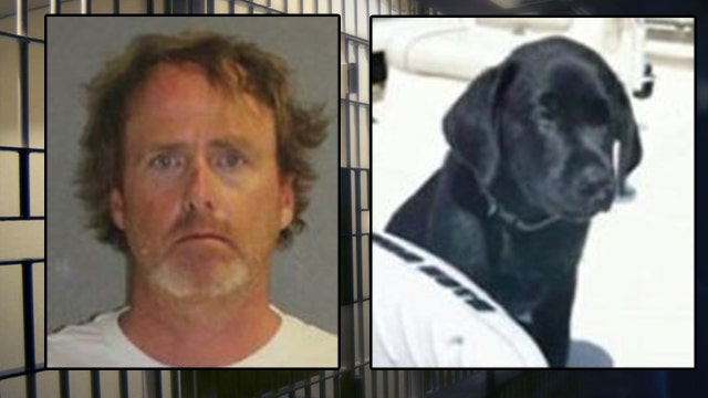 Lifetime ban on pet ownership overturned for Florida man arrested for killing dog