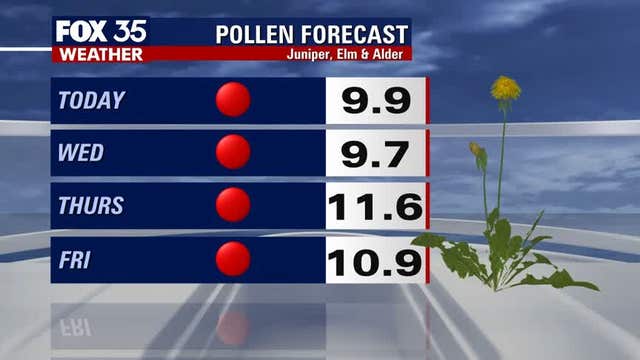 Are you sneezing? Pollen count high in Central Florida this week