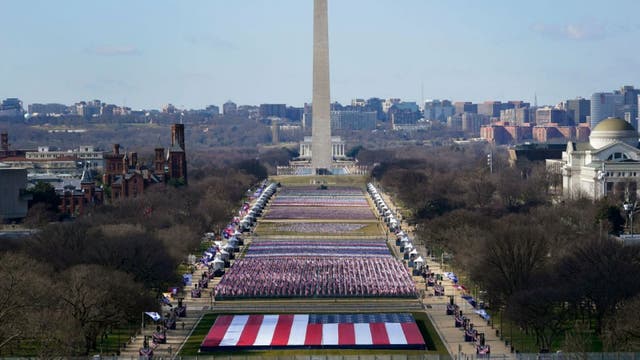Local Democrats celebrate inauguration with virtual watch parties