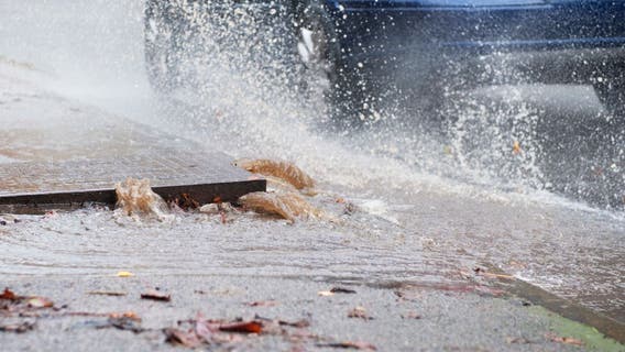 Orlando weather forecast: Rain chances rise in Central Florida ahead of incoming cold front