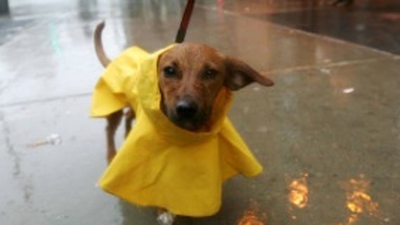 Here's when storms will fire up across Central Florida today