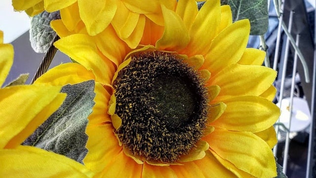 Beautiful stretch of Spring weather takes us into the weekend