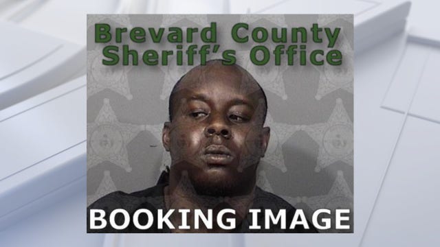 Man arrested after dog found tied to tree and shot, police say