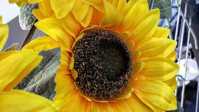 1st day of Spring brings cooler weather, showers to Central Florida