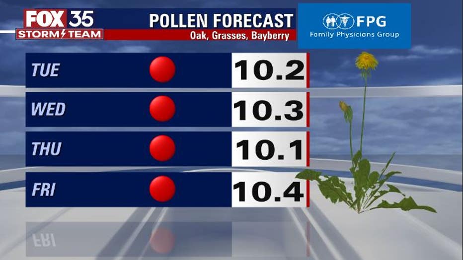 359ce7af-pollen.jpg