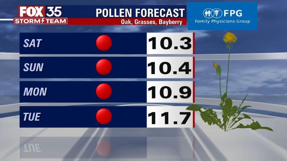 b99ed381-pollen-2.jpg
