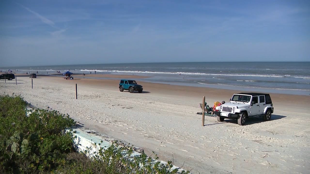 are dogs allowed on brevard county beaches