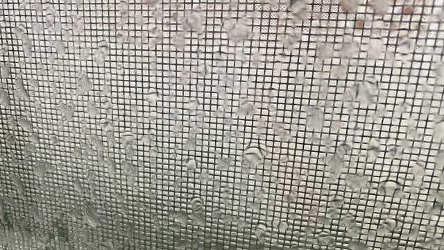 Forecast: Storms push through Central Florida, when will they clear up?