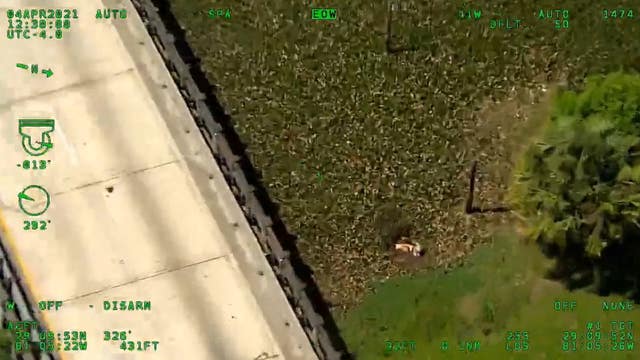 Volusia sheriff's helicopter finds missing woman with Alzheimer’s in swampy area