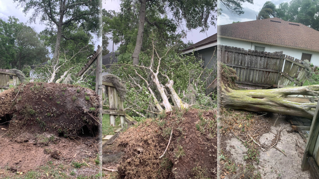 Strong storms cause damage across Central Florida on Saturday