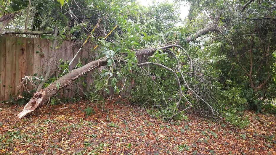 conway_storm_damage_sheri.jpg