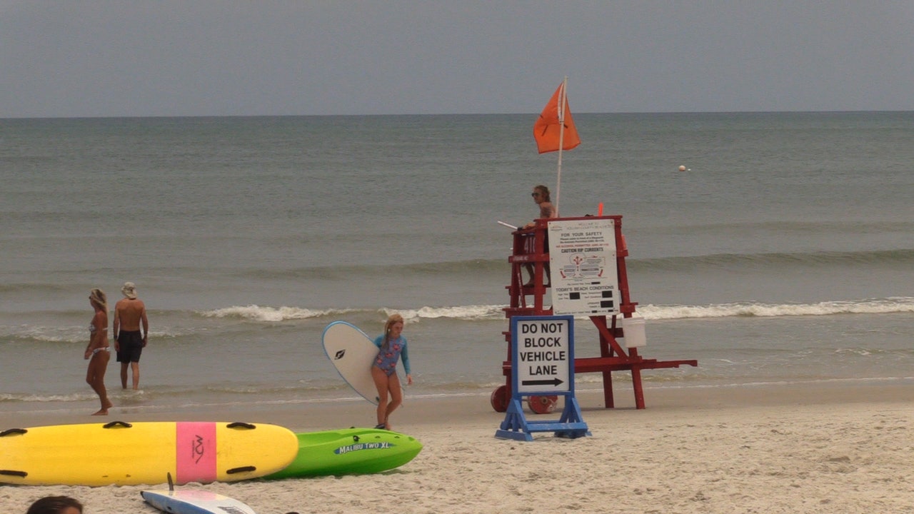 Shark Expert Weighs In On 2 Bites In One Day In New Smyrna Beach