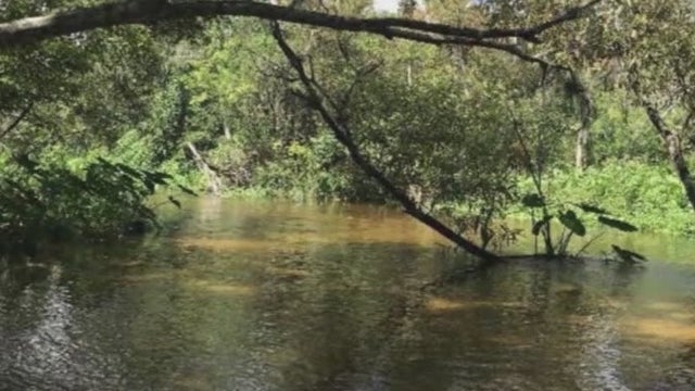 Florida Congresswoman calls for federal investigation into problems at Little Wekiva River
