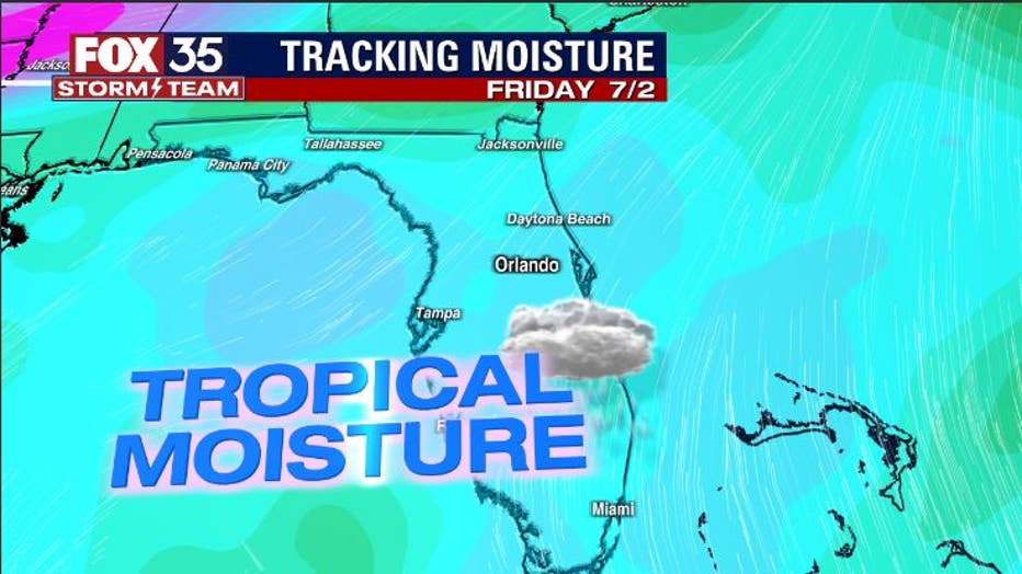736f0b5c-tropical-moist.jpg