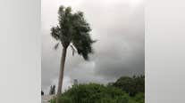 Strong winds in Port St Lucie as Tropical Storm Elsa approaches Florida