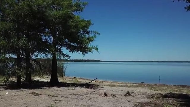 Health officials issue blue-green algae bloom alert for Seminole County lake