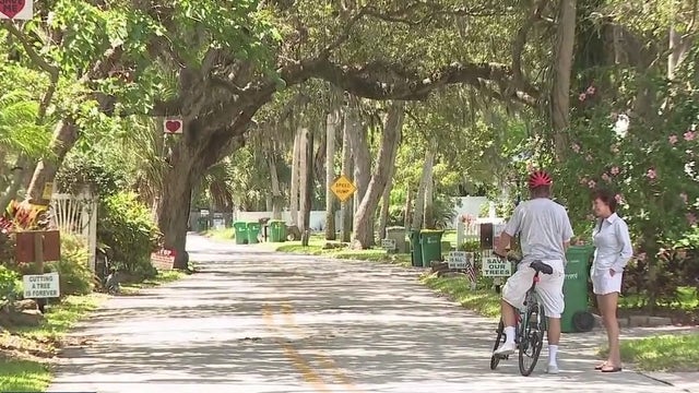 Rockledge residents protest removal of 100-year-old oak trees
