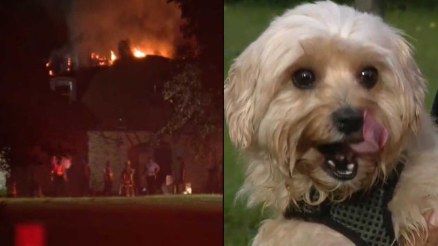Dog wakes up homeowner as fire tears through Orange County home