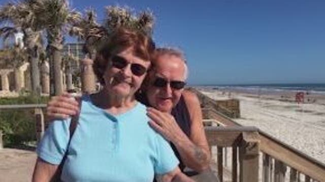 No arrests made in hit-and-run that killed woman, puppy in Orlando