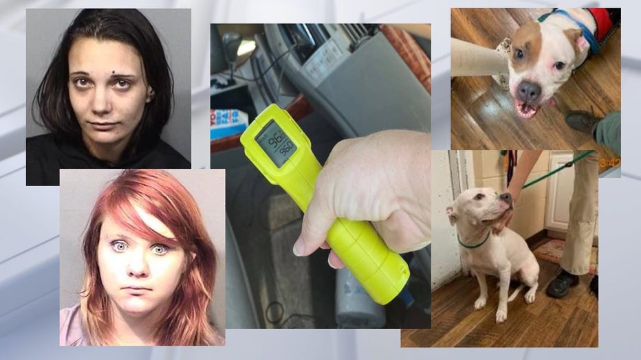 animal-cruelty-arrests.jpg