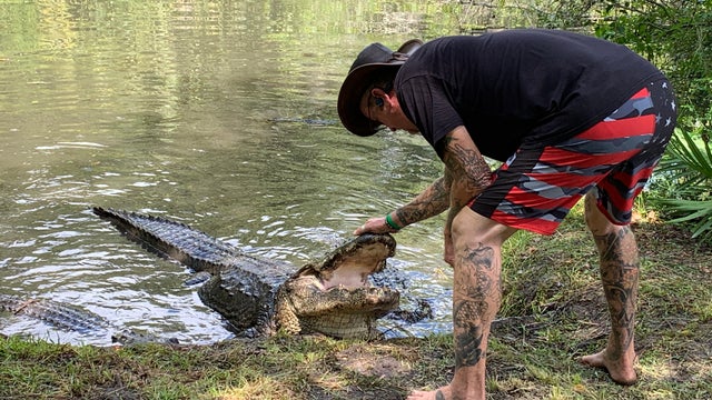 Florida gator wrangler gives take on wild video showing attack at child's birthday party