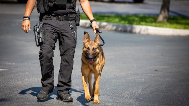 Ocala Police Department welcomes K-9 Graham, named after previous police chief
