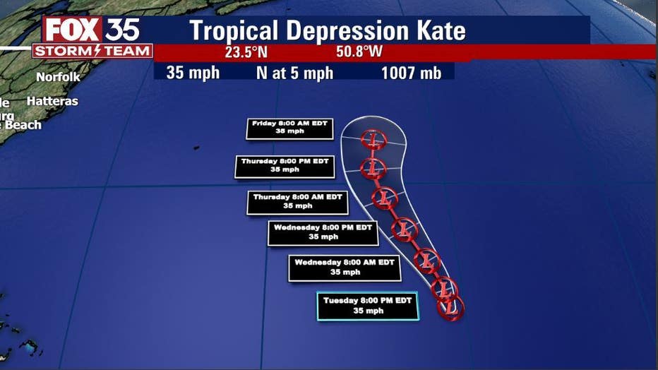 KATE.jpg