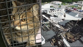 How to help the Pet Alliance of Greater Orlando after fire