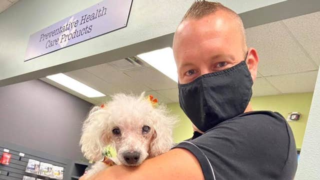 Orlando dog Petal gets adopted after recovering from torture and neglect