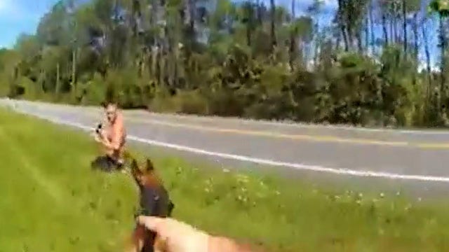 K-9 and deputy track down suspect through swampy, rough terrain