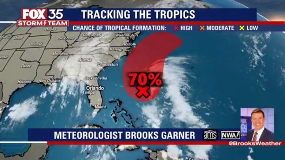 tropics2.jpeg