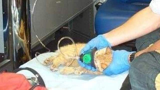 Woman donates pet oxygen masks to Seminole County Fire Department