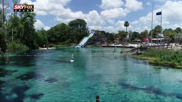 Weeki Wachee Springs to receive $13 million from state to manage water quality