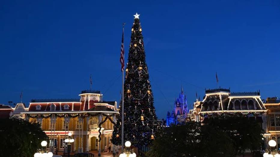 WDW-christmas-6.jpg