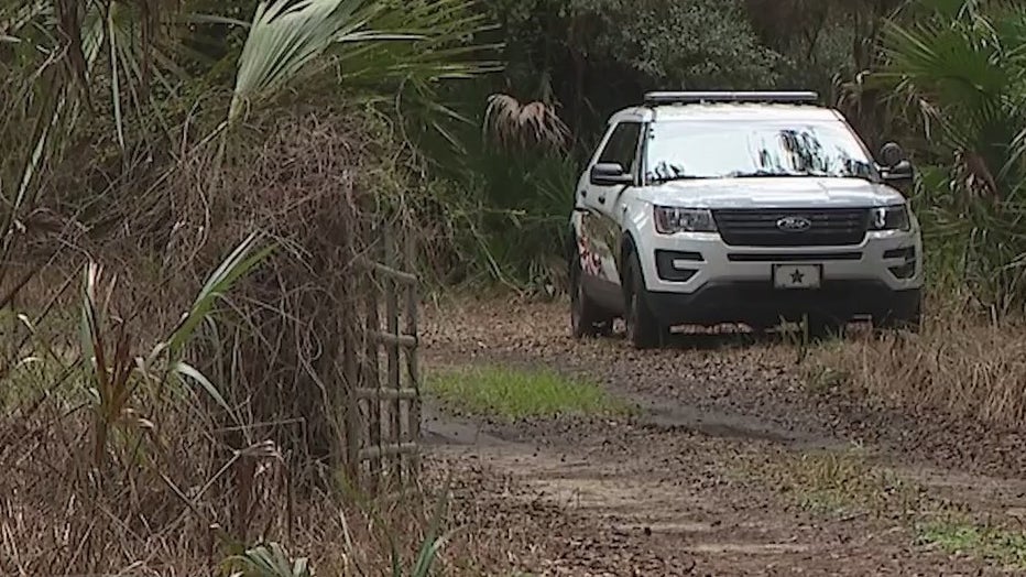 small plane crash volusia county