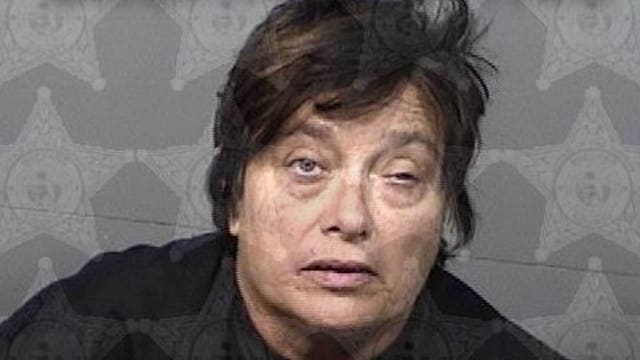 Florida woman stabs family dog 9 times because she was mad at husband, sheriff says
