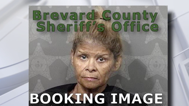 Florida officer saves dogs from hot car in Walmart parking lot