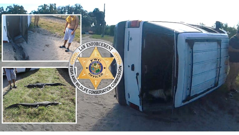 0cefb7ae-bd29ebd2-gators