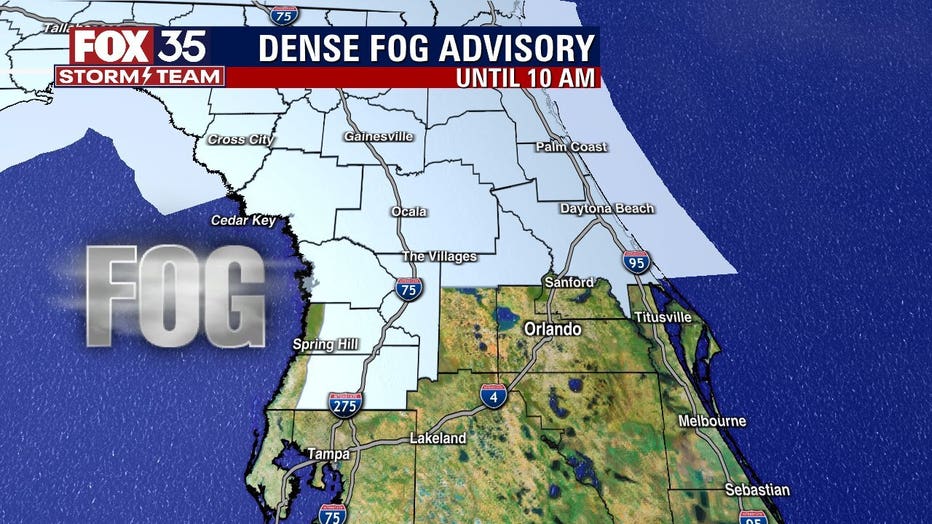 DENSE-FOG-_-12_27.jpeg