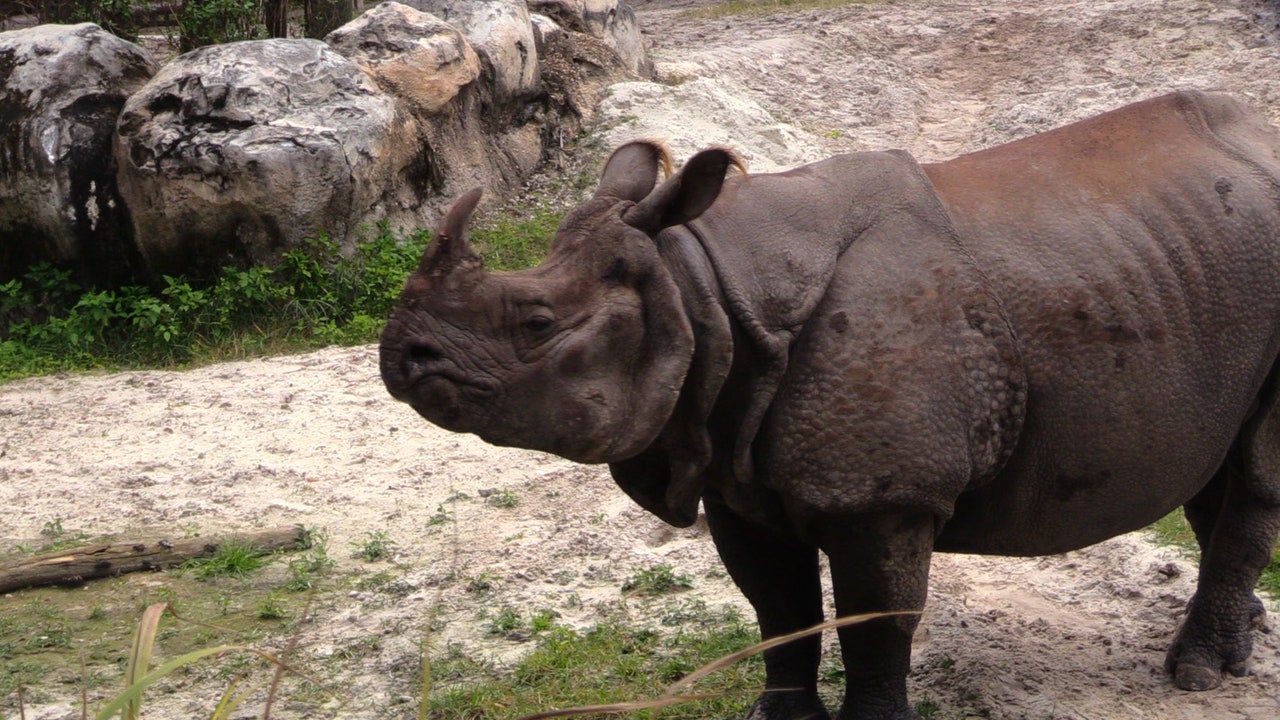 Central Florida Zoo prepares for blast of cold weather - Vimarsana News