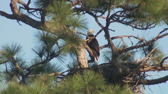 Lake County woman shares story after claiming neighbor killed her dog