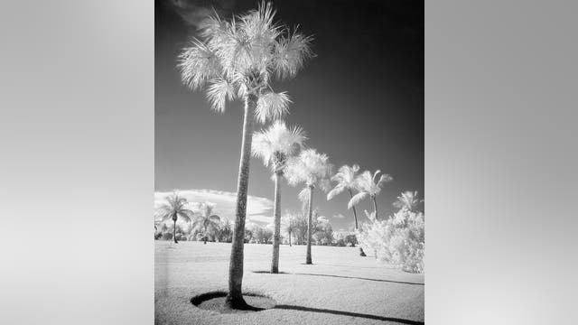 South Florida saw snow 45 years ago. Could it happen again?