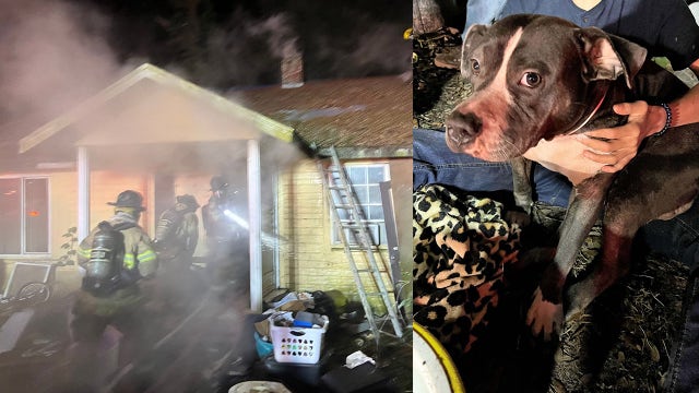 Dog rescued from Marion County house fire