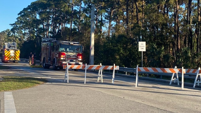 Kids burning Christmas tree in woods sparked brush fire, authorities say
