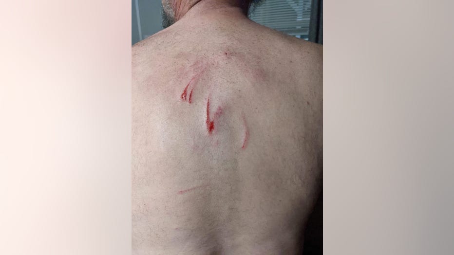 bear-scratch.jpg