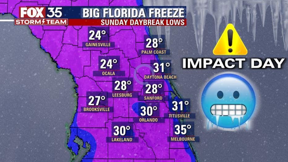 lows_tonight-1.jpg